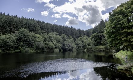 Take a stroll around Ballure Reservoir